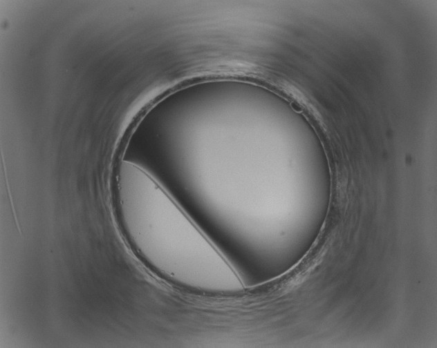 X0000067361085200603310919