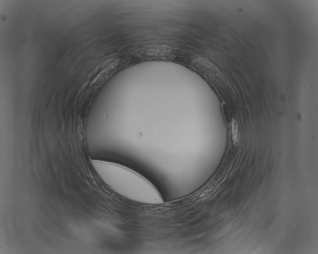 X0000067361107200603310918