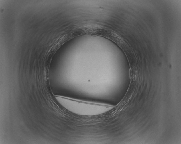 X0000067361108200603310918