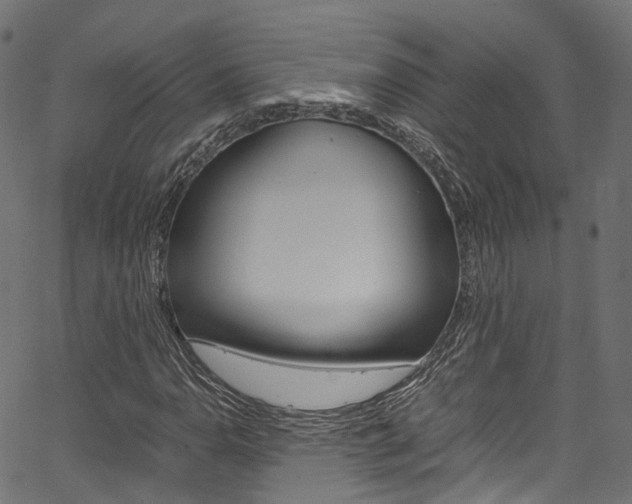 X0000067361110200603310918