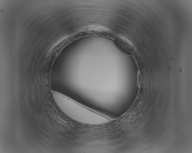 X0000067361112200603310918