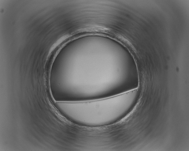 X0000067361114200603310918