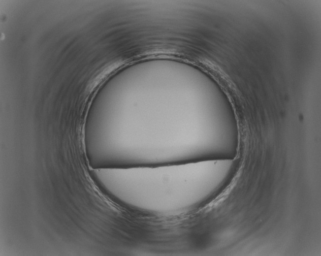 X0000067361121200603310918