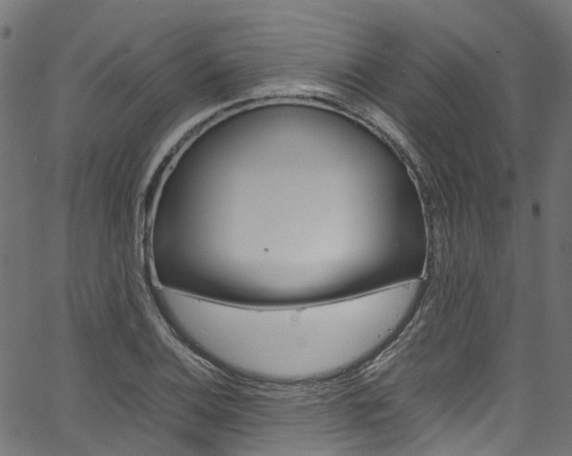 X0000067361124200603310918