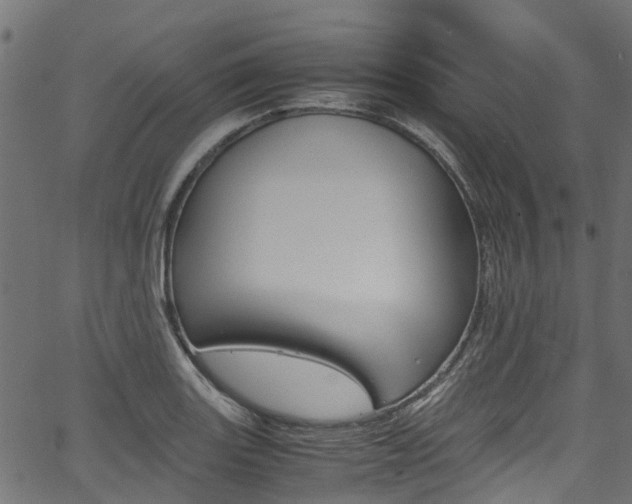 X0000067361131200603310918