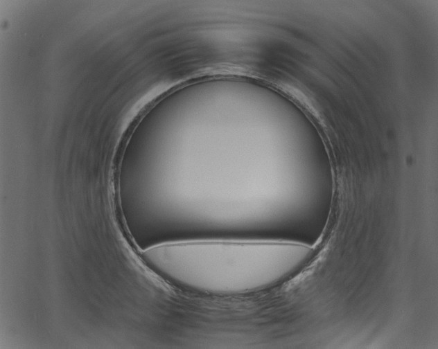 X0000067361133200603310918