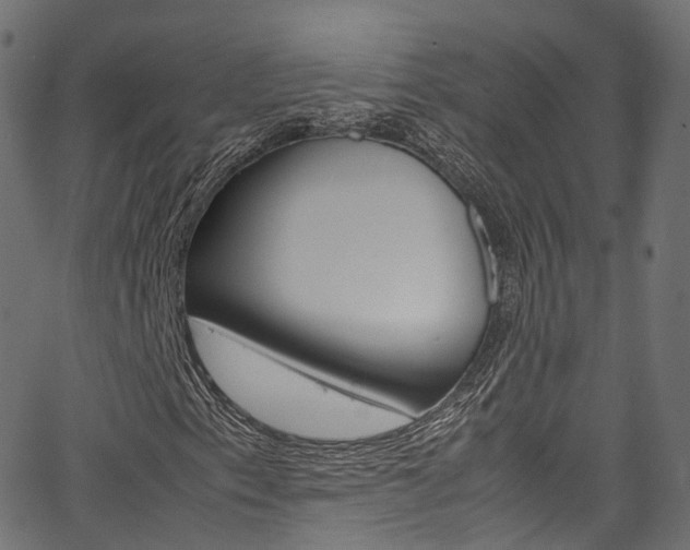 X0000067361153200603310918