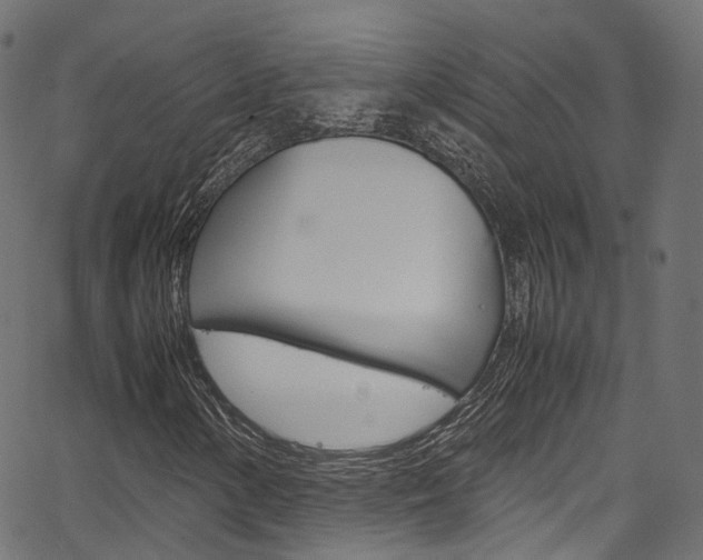 X0000067361154200603310918