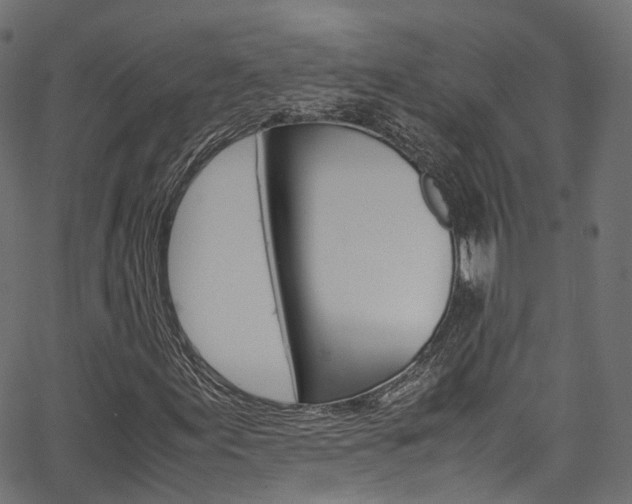 X0000067361155200603310918