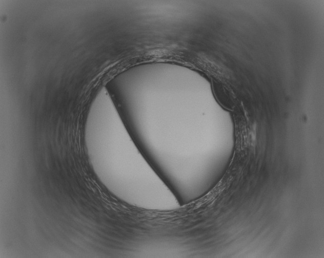X0000067361158200603310918