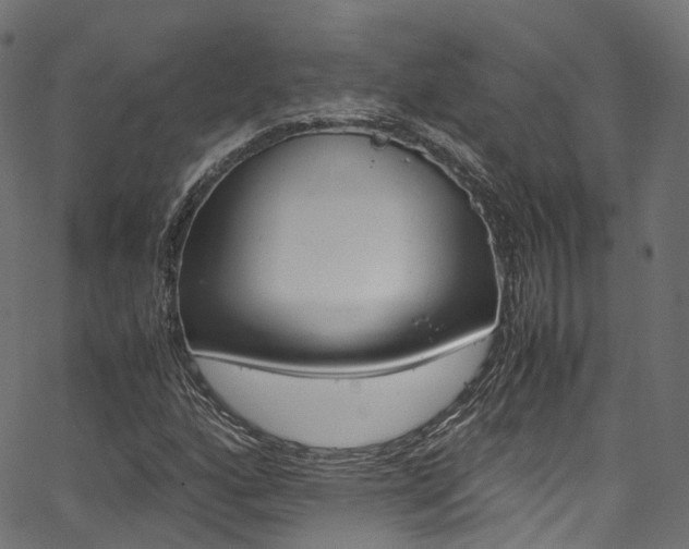 X0000067361160200603310918