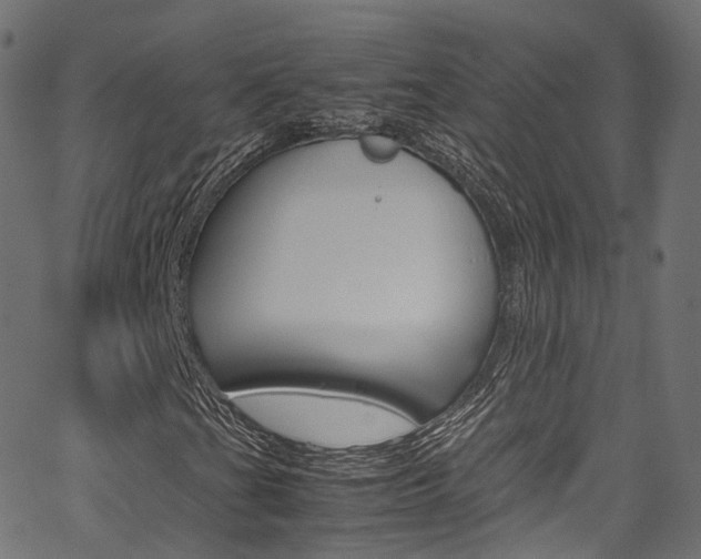 X0000067361201200603310916