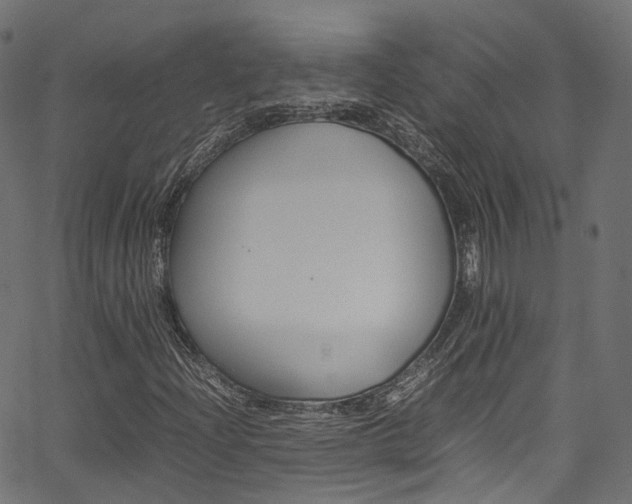 X0000067361204200603310916