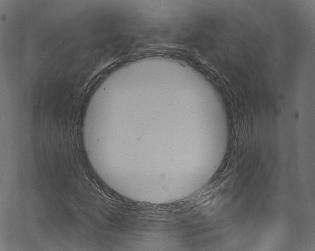 X0000067361206200603310916