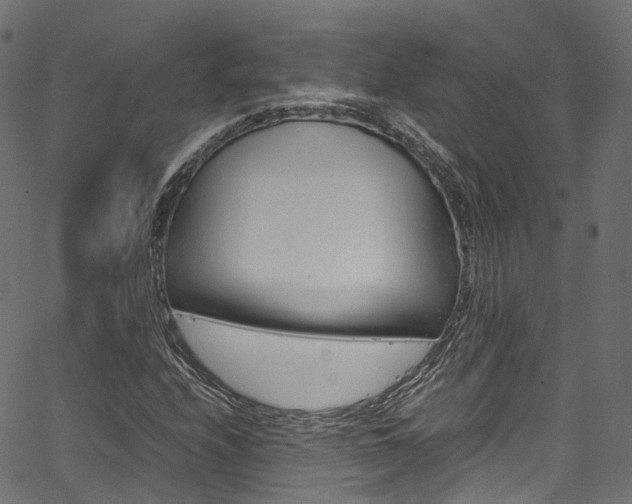 X0000067361208200603310916