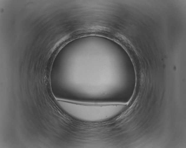 X0000067361210200603310916
