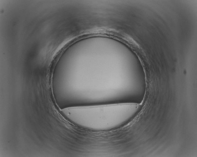 X0000067361216200603310916