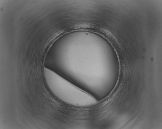 X0000067361217200603310916
