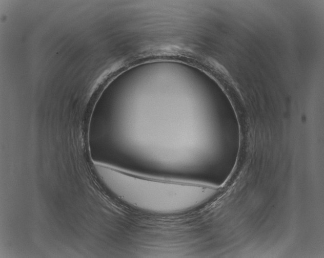 X0000067361218200603310916