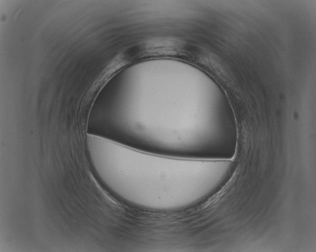 X0000067361225200603310916