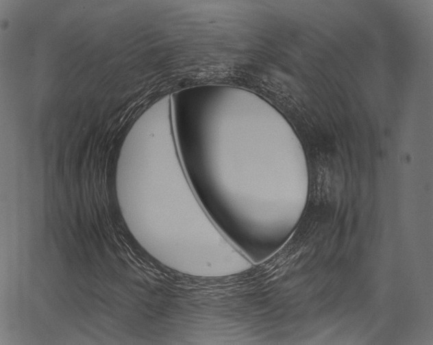 X0000067361250200603310916