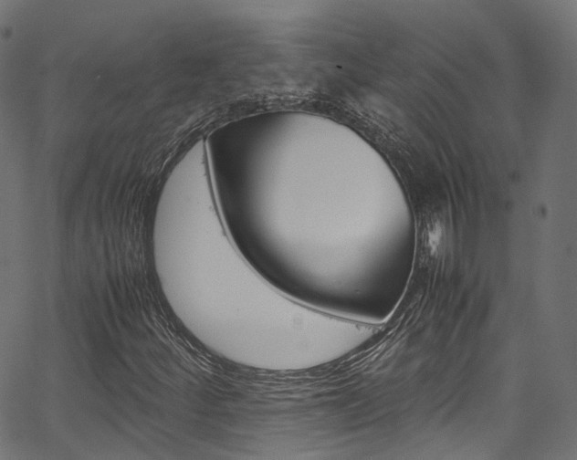 X0000067361252200603310916