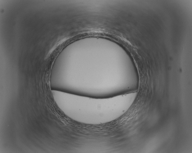 X0000067361255200603310916