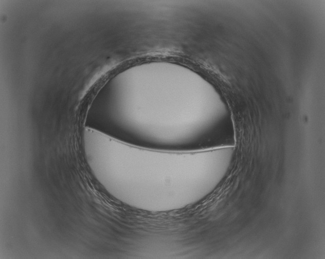 X0000067361256200603310916
