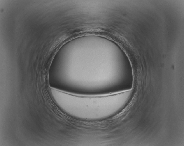 X0000067361257200603310916