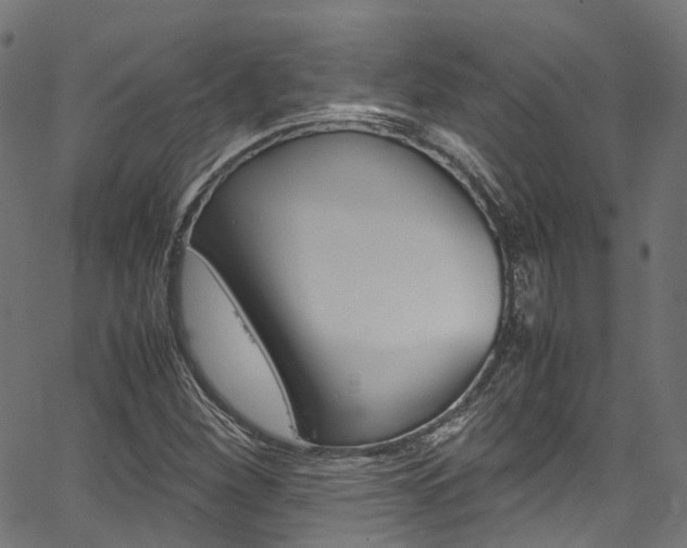 X0000067361260200603310916