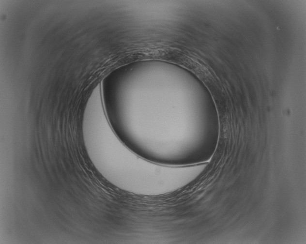 X0000067361298200603310915