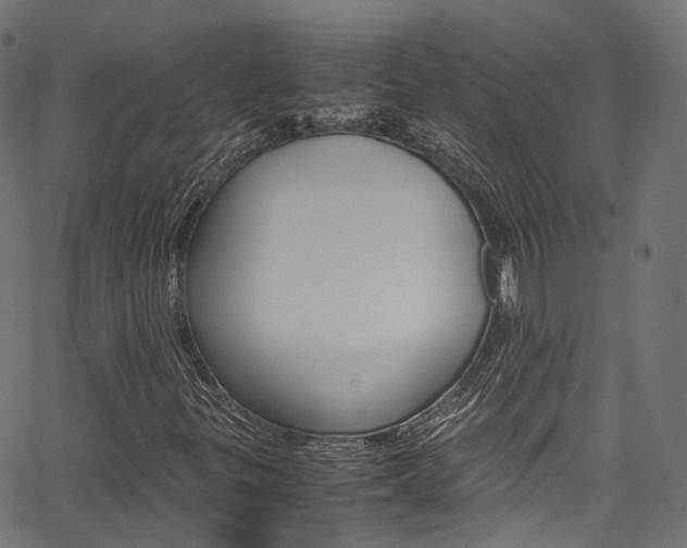 X0000067361299200603310915
