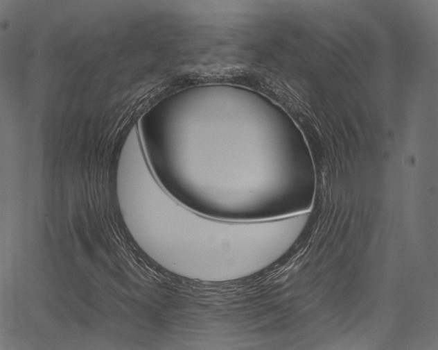 X0000067361300200603310915
