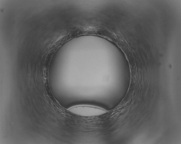 X0000067361301200603310915