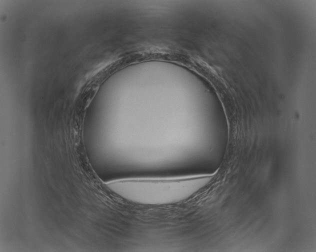 X0000067361303200603310915