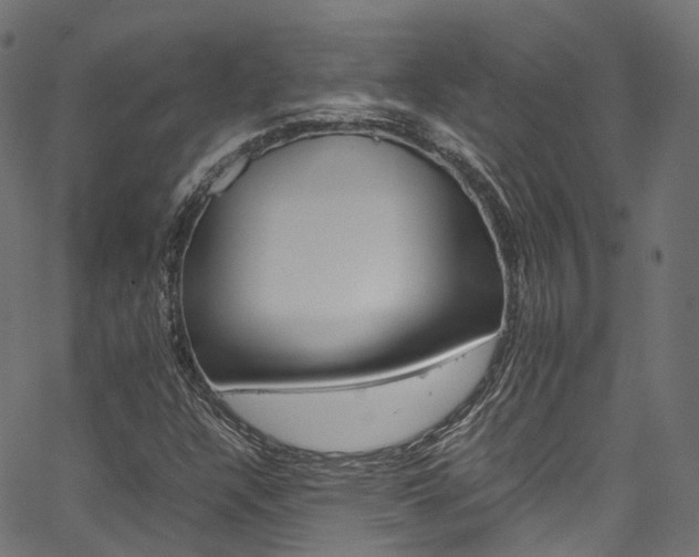 X0000067361304200603310915