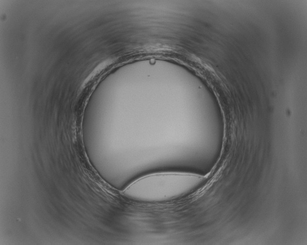 X0000067361306200603310915
