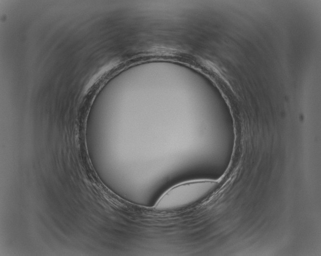 X0000067361307200603310915