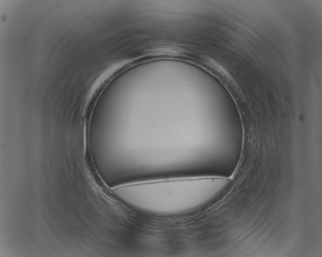 X0000067361323200603310915