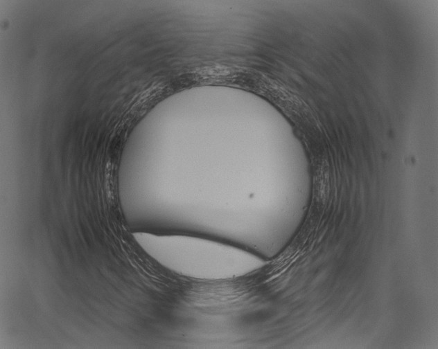 X0000067361346200603310914
