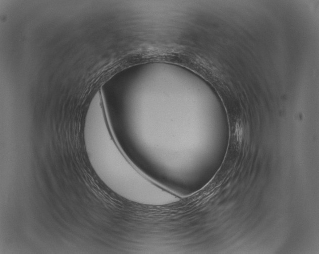 X0000067361348200603310914