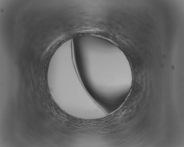 X0000067361351200603310914