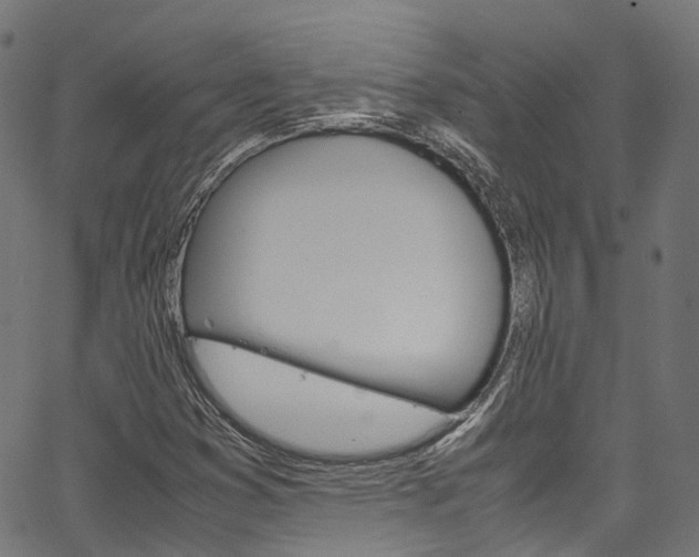 X0000067361353200603310914