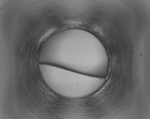X0000067361354200603310914