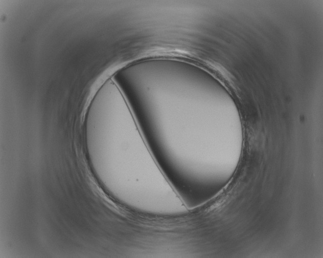 X0000067361371200603310914