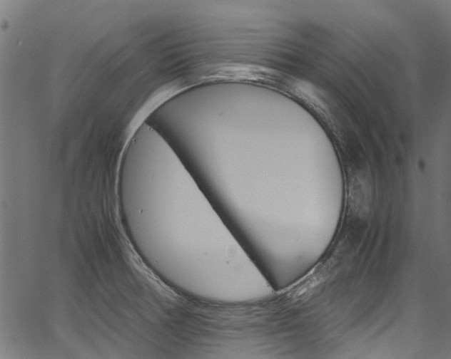 X0000067361378200603310914