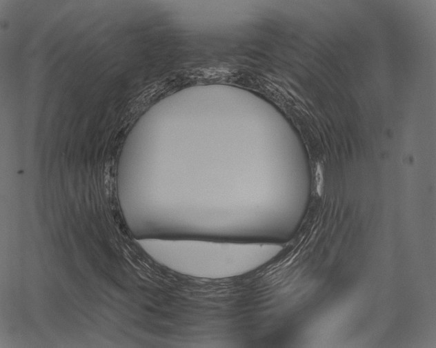 X0000067361395200603310913
