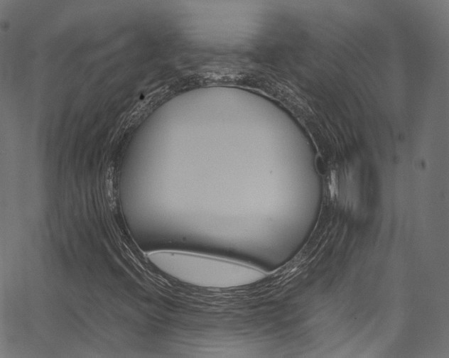 X0000067361396200603310913