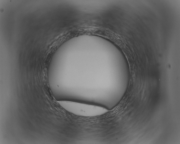 X0000067361397200603310913