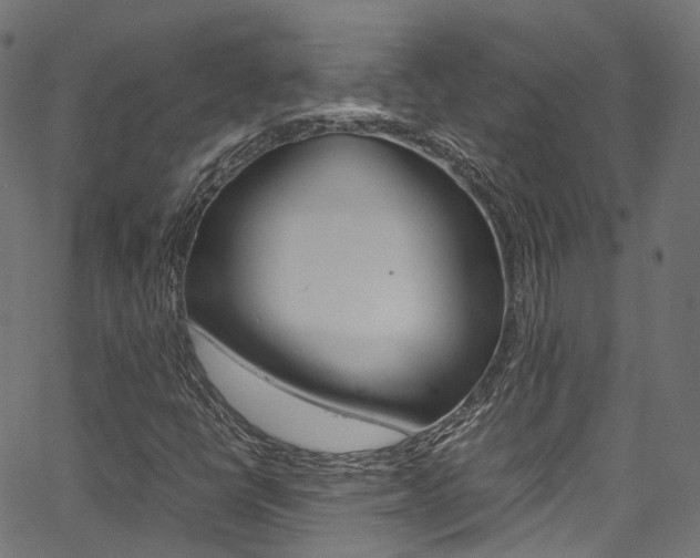 X0000067361398200603310913